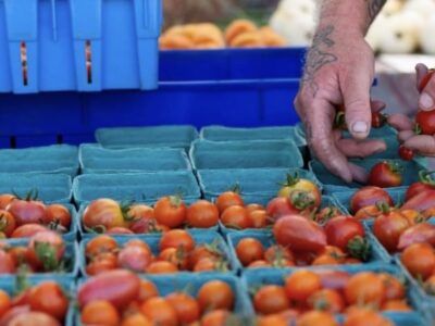 地産の新鮮な野菜や果物、そして出来立てスイーツ、クラフトグッズなどをゆっくりチェックしてみては（Photo credit: Burnaby Artisan Farmers' Market）