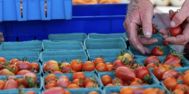 地産の新鮮な野菜や果物、そして出来立てスイーツ、クラフトグッズなどをゆっくりチェックしてみては（Photo credit: Burnaby Artisan Farmers' Market）