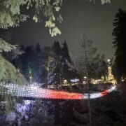 クリスマスライトが彩る幻想の森へ―キャピラノ吊り橋「Canyon Lights」