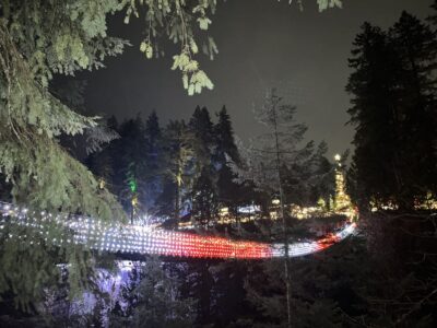 クリスマスライトが彩る幻想の森へ―キャピラノ吊り橋「Canyon Lights」