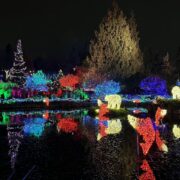 バンデューセン植物園クリスマスライト