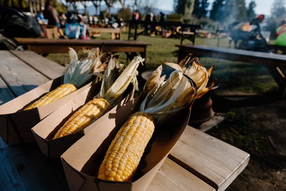 Chilliwack Corn Festival