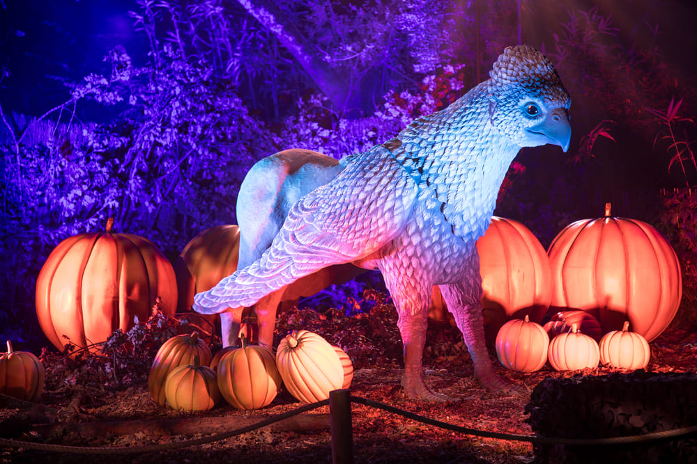 Harry Potter™: A Forbidden Forest Experience