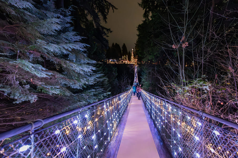 Canyon Lights (キャピラノ吊り橋クリスマスイベント)