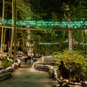 Canyon Lights (キャピラノ吊り橋クリスマスイベント)