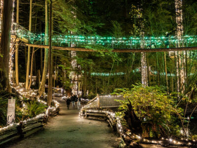 Canyon Lights (キャピラノ吊り橋クリスマスイベント)