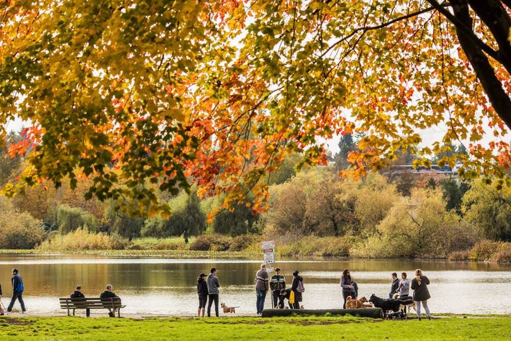 Trout Lake at John Hendry Park