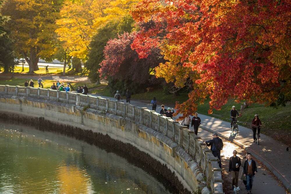 Stanley Park sea wall in the fall