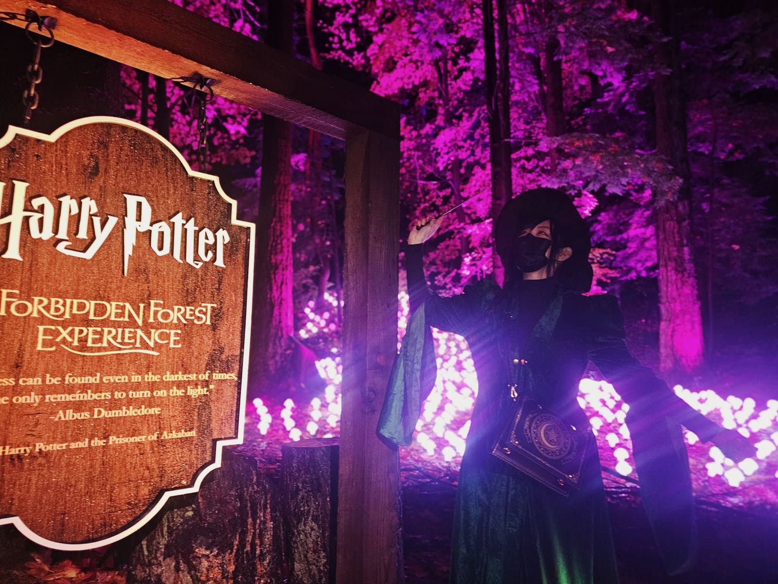 着払限定☆断捨離☆激レア☆ハリーポッター☆秘密の部屋☆特殊反転両面印刷☆ポスター 着払限定☆断捨離☆激レア☆ハリーポッター☆秘密の部屋☆特殊反転両面