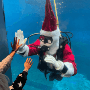バンクーバー水族館もクリスマス仕様に