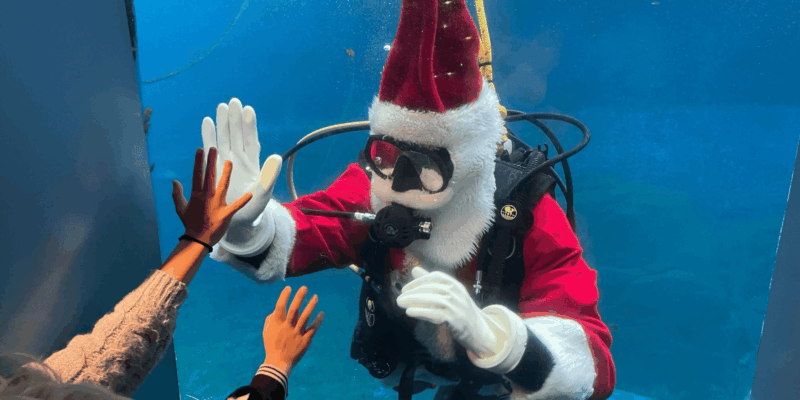 バンクーバー水族館もクリスマス仕様に