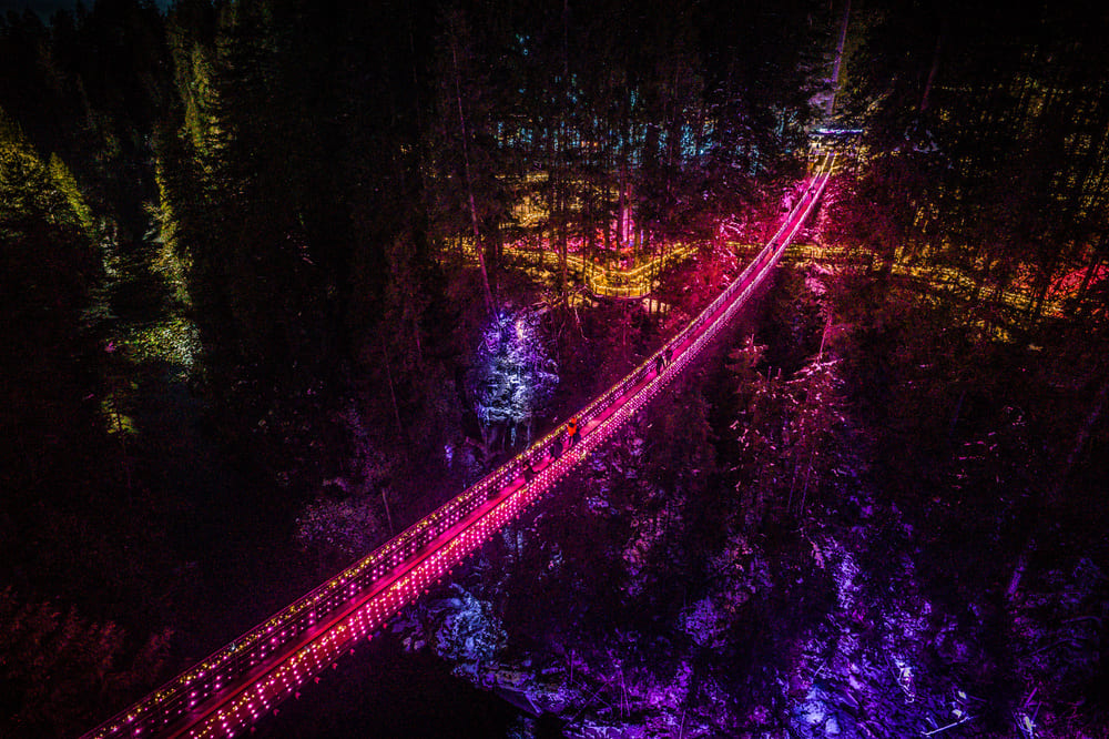 Capilano Suspension Love Lights