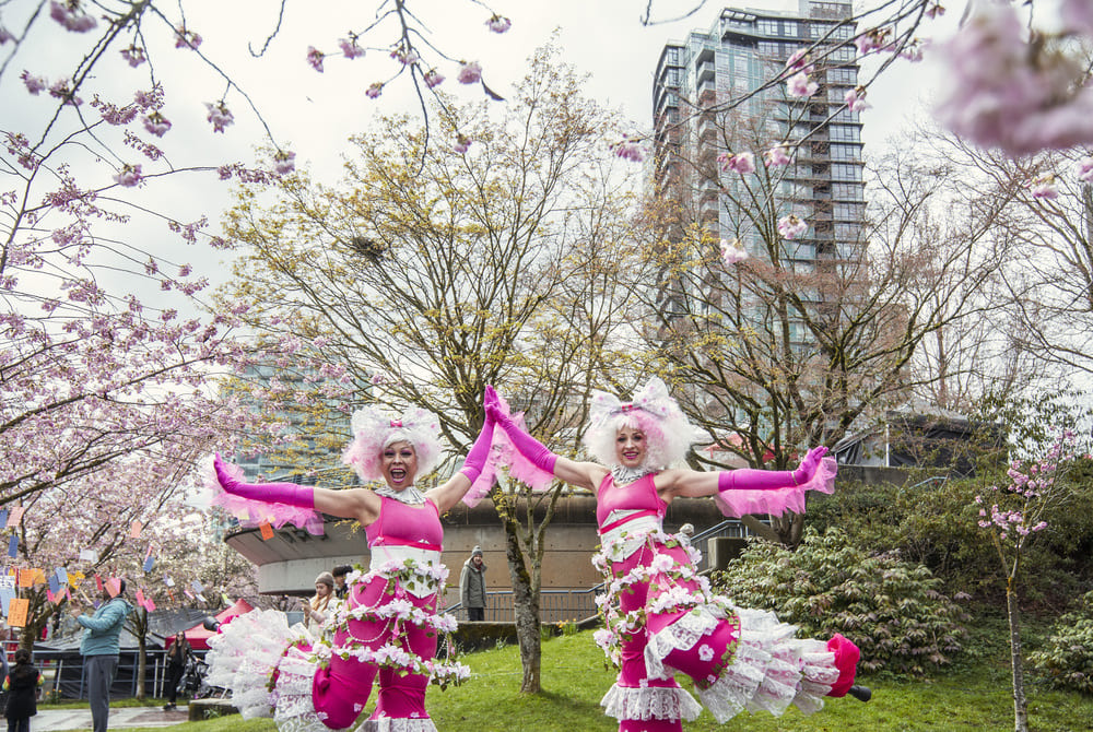 Vancouver Cherry Blossom Festival