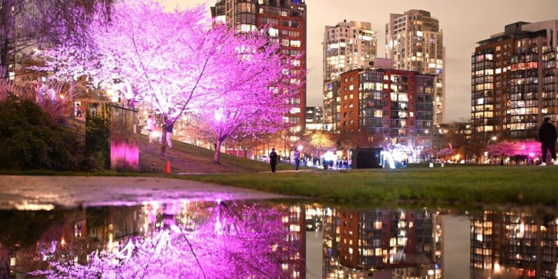 Vancouver Cherry Blossom Festival