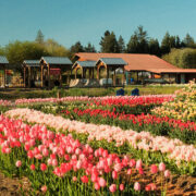 Greendale Acres Farm