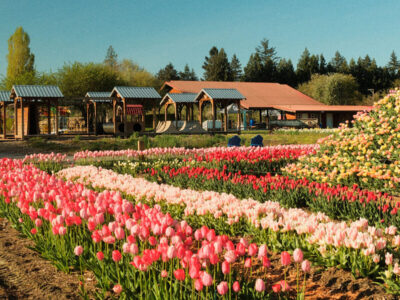 Greendale Acres Farm