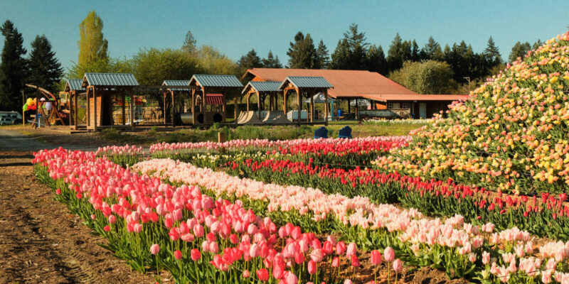 Greendale Acres Farm