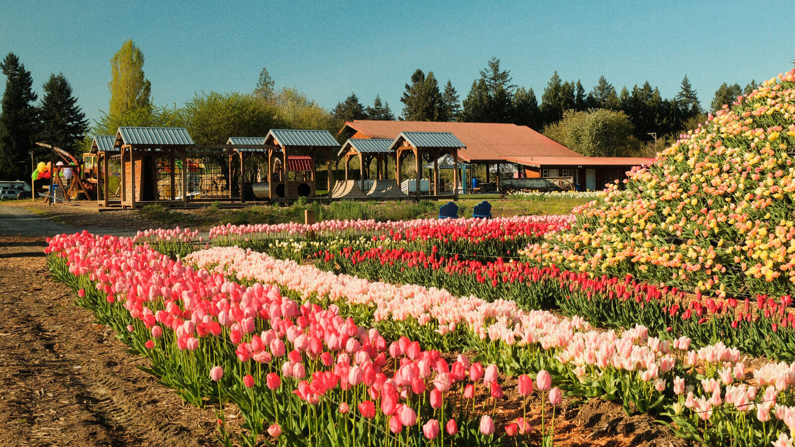 Greendale Acres Farm