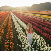 アボッツフォード・チューリップ・フェスティバル