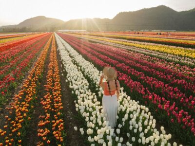 アボッツフォード・チューリップ・フェスティバル