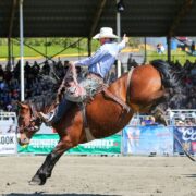 クローバーデール・ロデオ＆カントリー・フェア