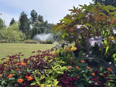 バンデューセン植物園夏の見どころ