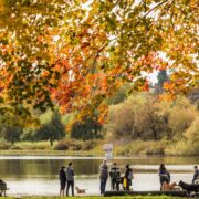 trout lake