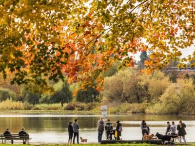 trout lake