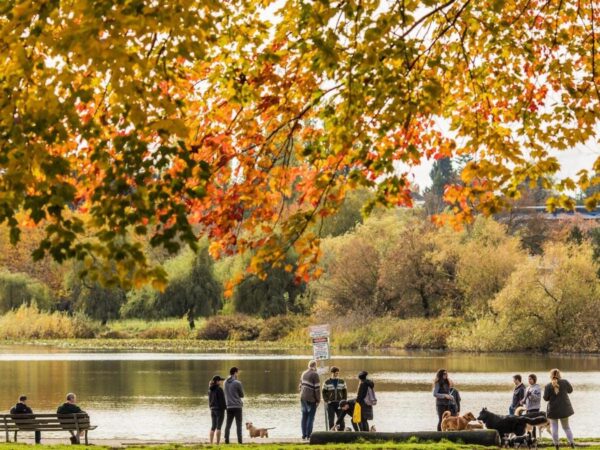 trout lake