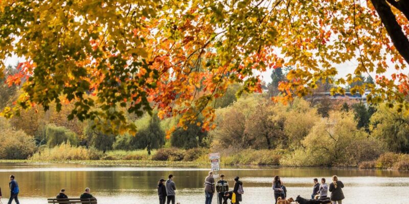trout lake