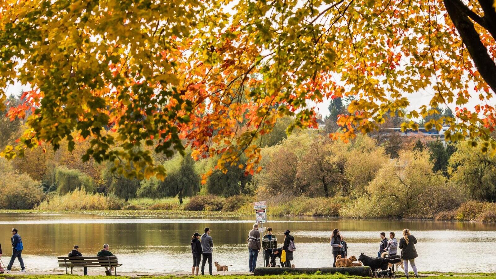 trout lake