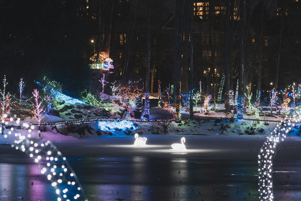 Lights at Lafarge
