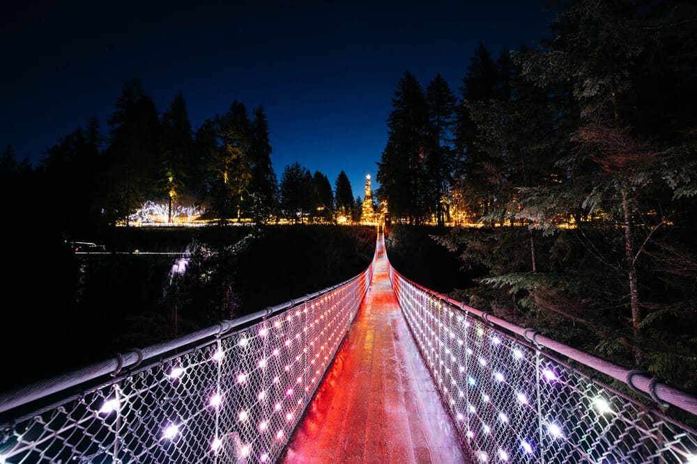 Canyon Lights